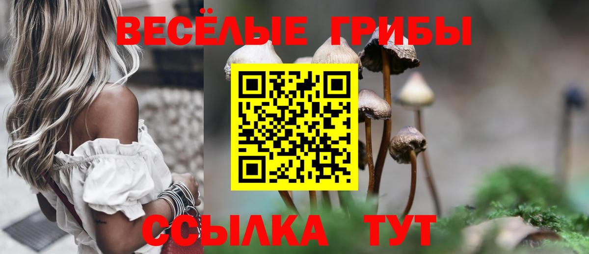 Псилоцибиновые грибы мицелий Мирный