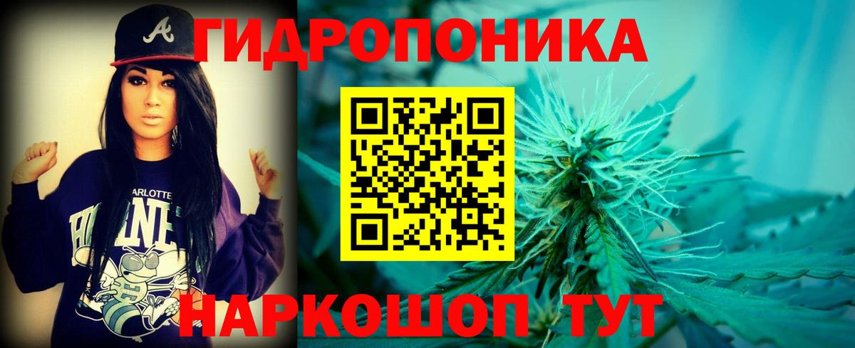 Конопля тримм  МАРИХУАНА гибрид  Вход с VPN  Мирный  Бошки Шишки THC 21% 